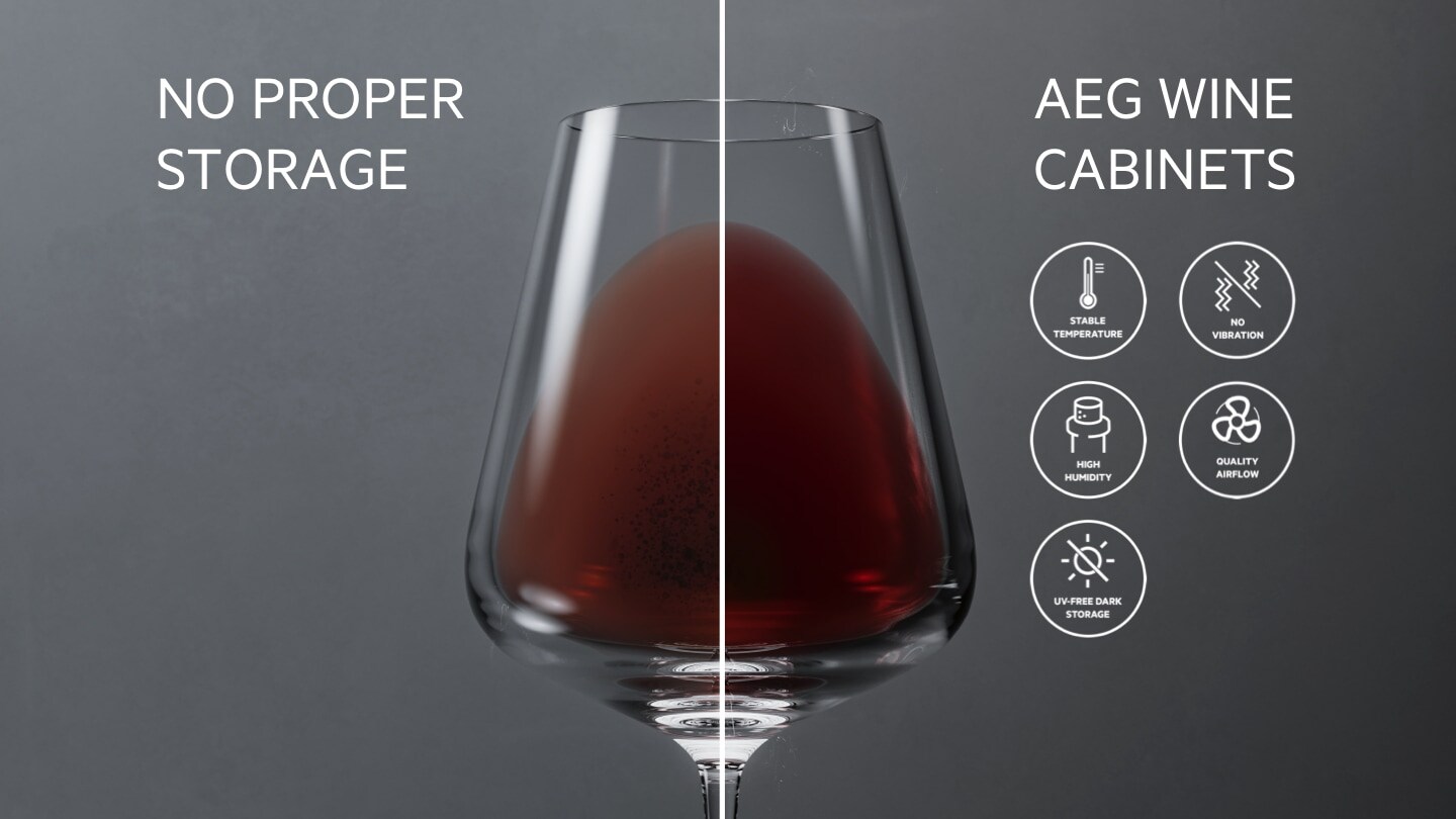Protégez vos vins avec Cellar Pro 5 Fundamentals